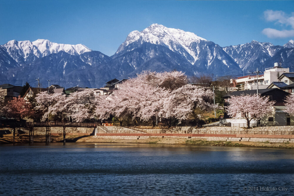 甲斐駒ヶ岳（かいこまがたけ）：日本百名山・山梨百名山